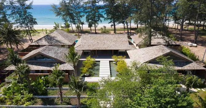 The Pines  Aerial shot